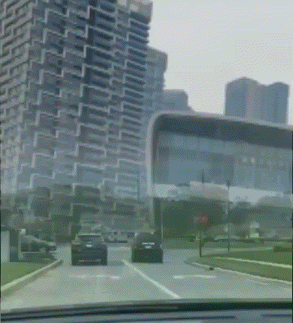 真·卧龙凤雏