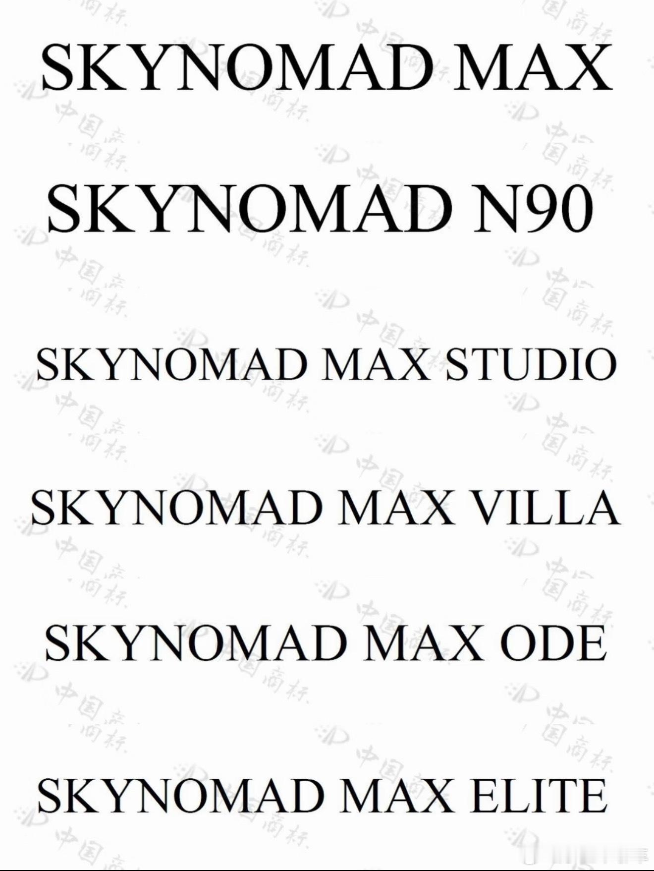 SKYNOMAD，天空游牧者？配上升降顶有那味了小米yu9小米汽车