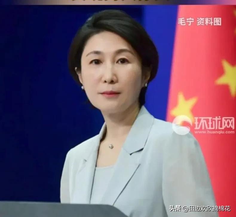 特朗普还想访华？毛宁一句回应，直接让他坐不住了！
 
面对记者提问，毛宁明确表示