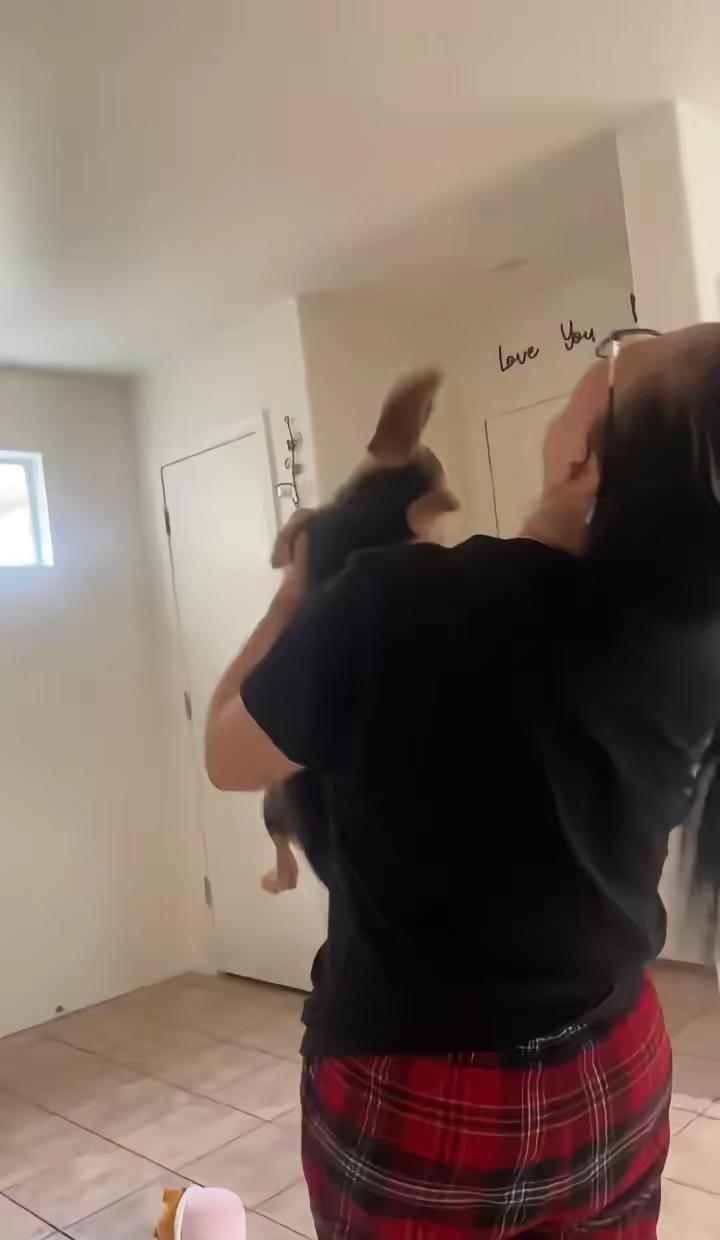 🐶：我倒要看看 狗狗 萌宠出道计划 动物的迷惑行为  萌宠