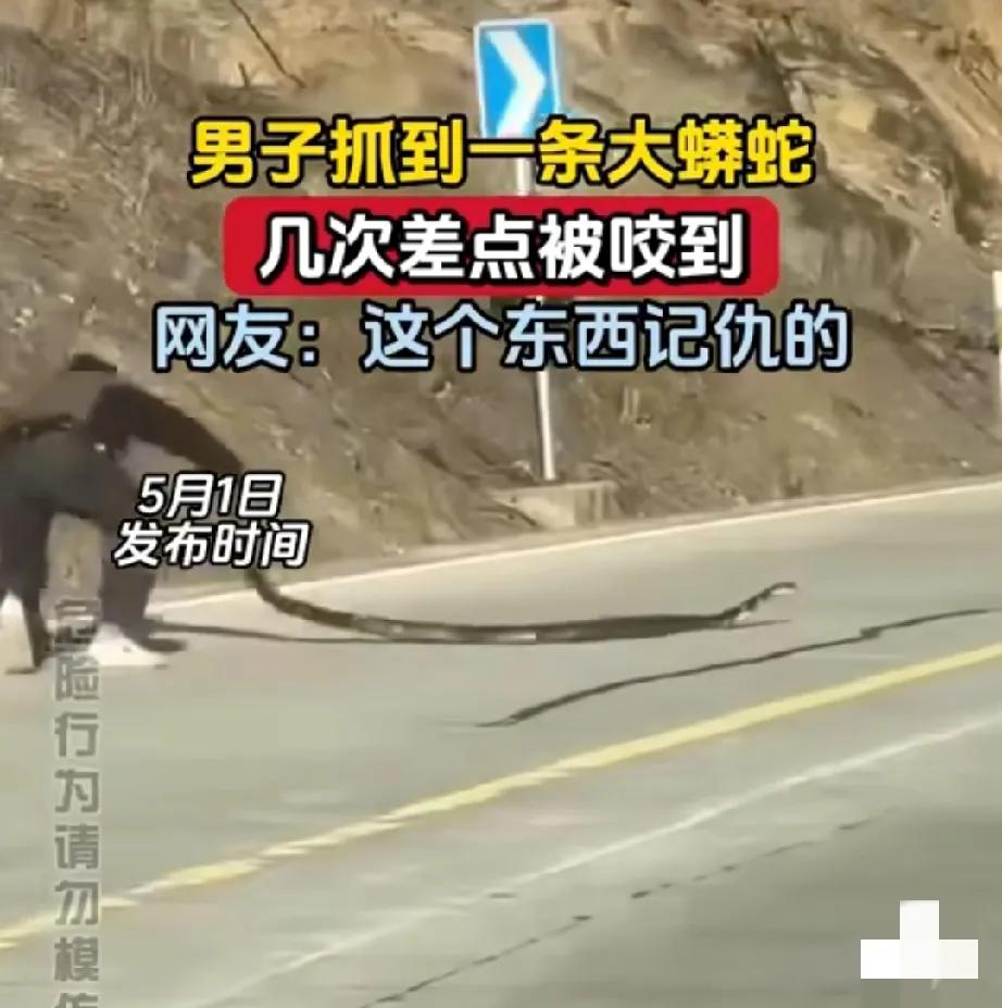 男子抓蟒，疯狂挑衅！蛇命悬一线，人性呢？
 
家人们，我刚刷到一个超惊悚的视频，