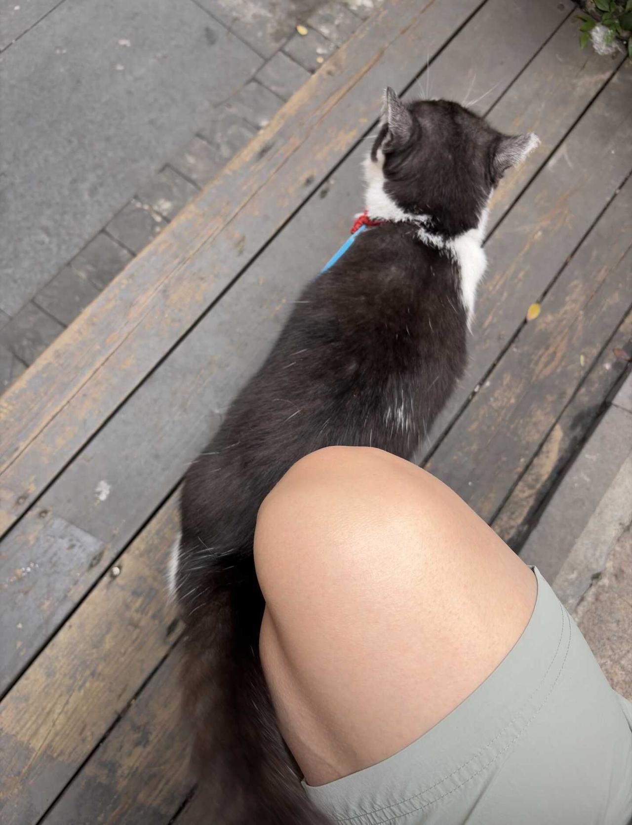 青筋粗腿能否抓住一个半夜没睡的你？
黑袜