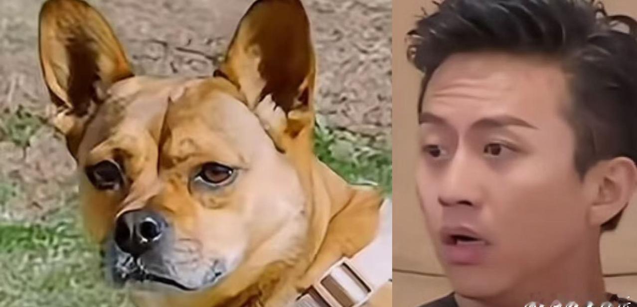 ​​​