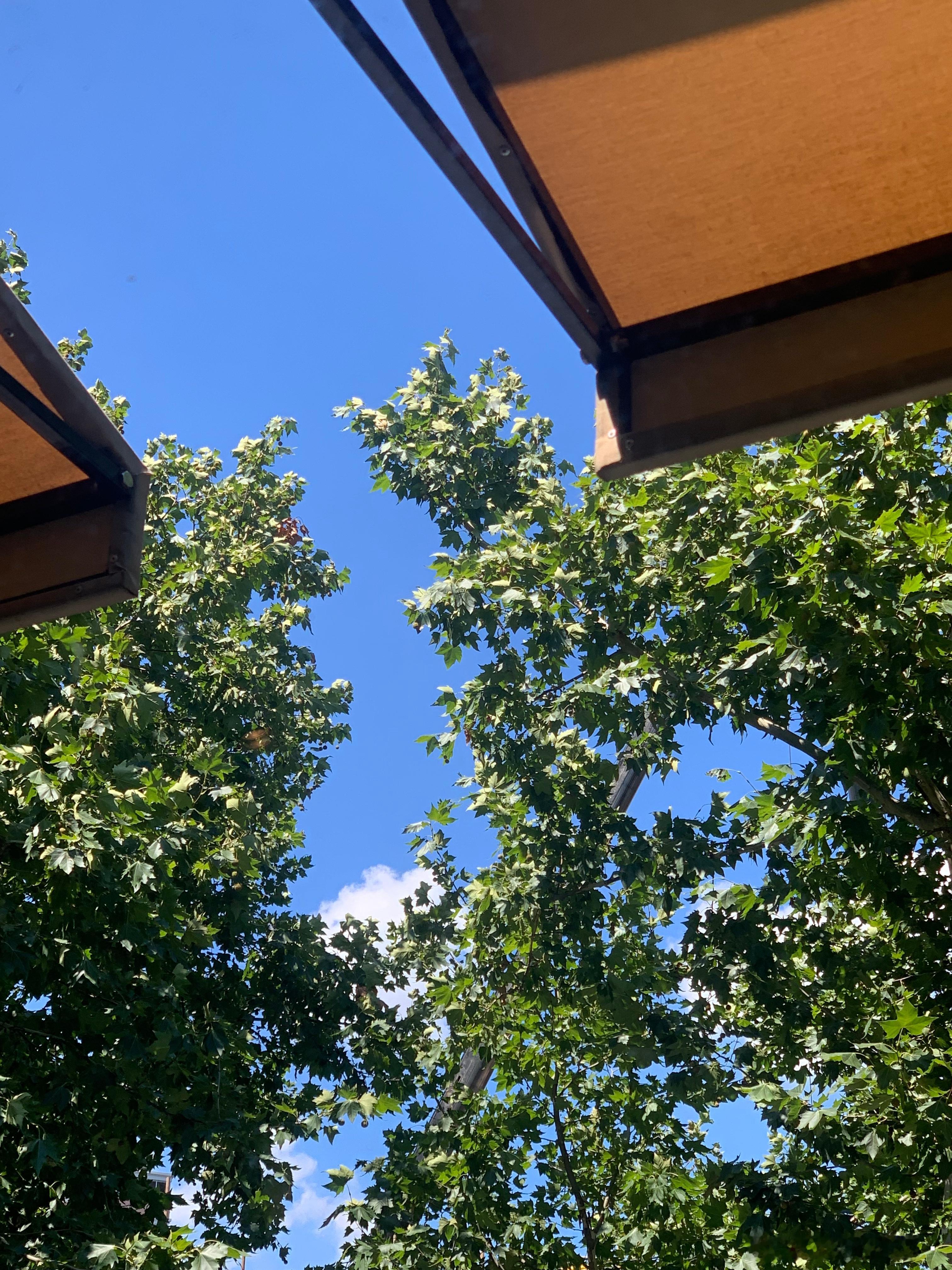 等国庆。 ​​​