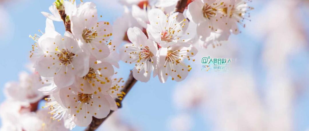 大家注意没有，人过中年，凡是夫妻关系好、日子过得幸福的，都有一个共性 —— 不试