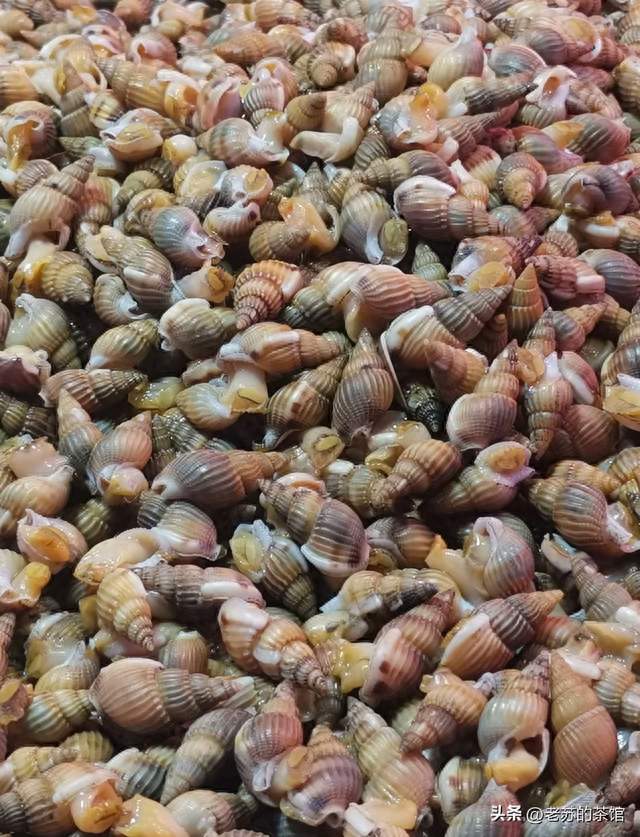这种海鲜已到毒性最强时期，比砒霜毒百倍，提醒：别买、别吃！