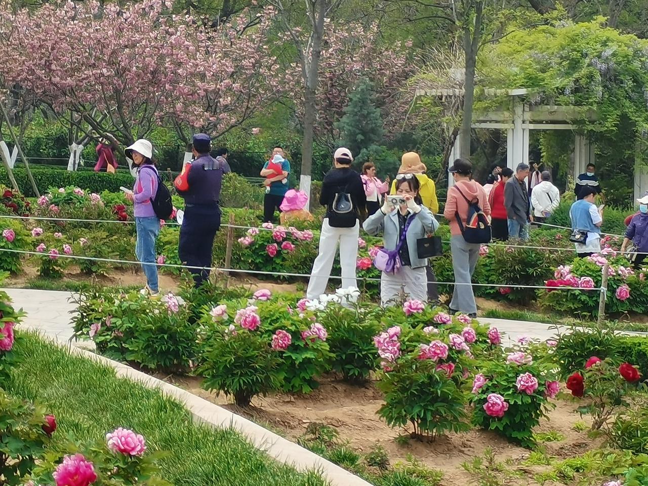 晒图笔记大赛春意盎然的中山公园，市民与游客的好去处。漫步公园，手机随拍。