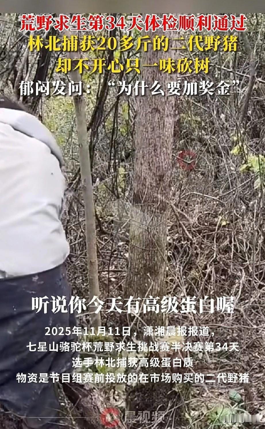 七星山荒野求生34天，宜宾选手林北（张博林）顺利通过体检，进入下一轮比赛。

 