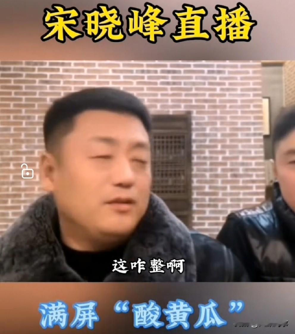 “酸黄瓜”霸屏全网，宋晓峰无奈关播！

               演员闫学晶