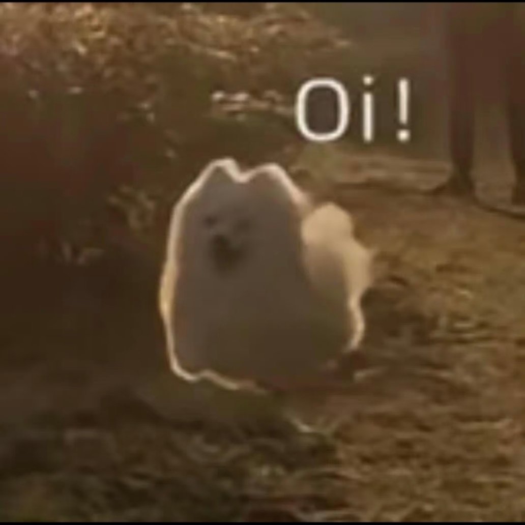 啊啊啊啊光顾着看喜夜去了，差点忘了今天抽签！！！ 还是瓜发布会提醒我的然后发现抽