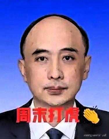 就在刚刚，看了“界面快讯”新闻，“伍浩”被查，于是看了一下他的工作履历，55岁的