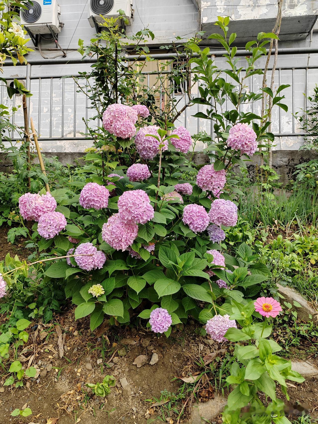 幸福就是国泰民安，父母和孩子安好，且就在身边，想聚就聚，与另一半关系和谐。