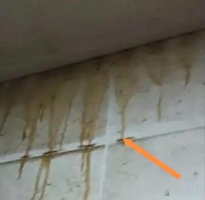 八年房东情，败给一盏灯

杭州一男子，为陪孩子读书，租房八载，年租三万二，押金一