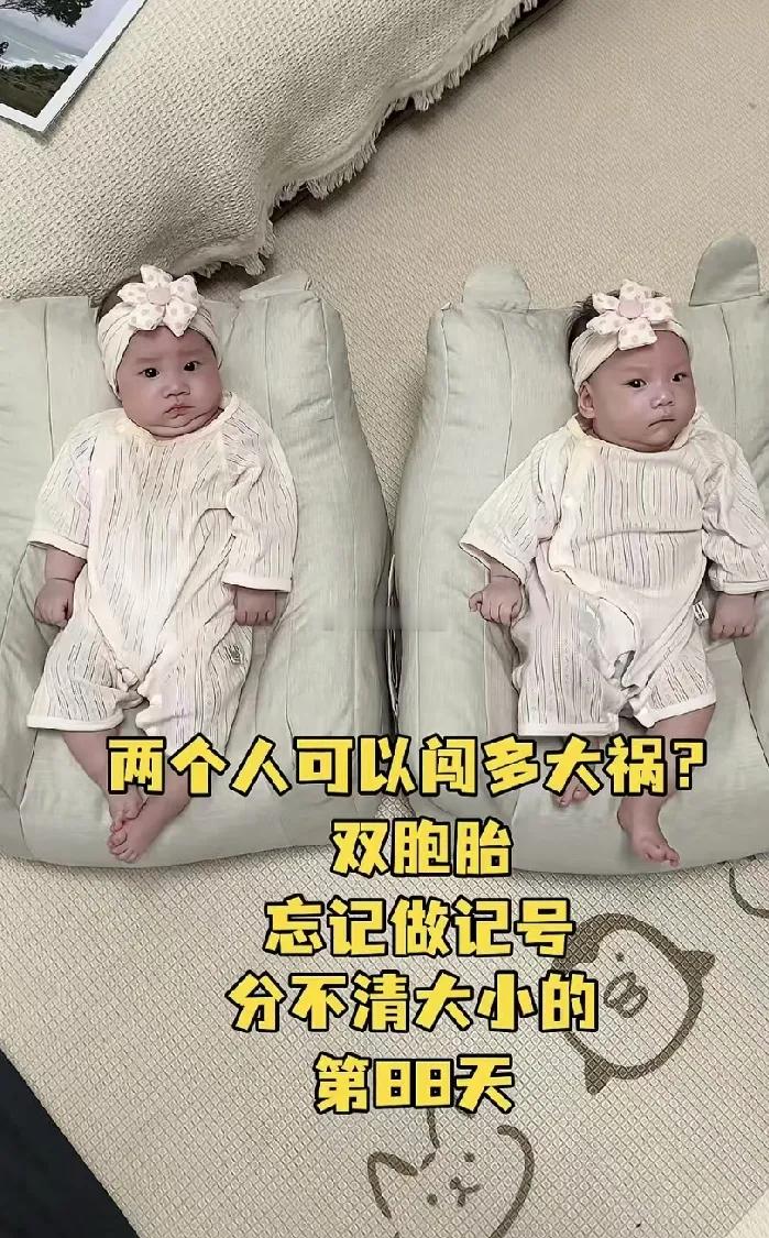 一位网友在线求助，生了一对双胞胎，但是忘记做记号了，现在完全分不清大小了，长得一