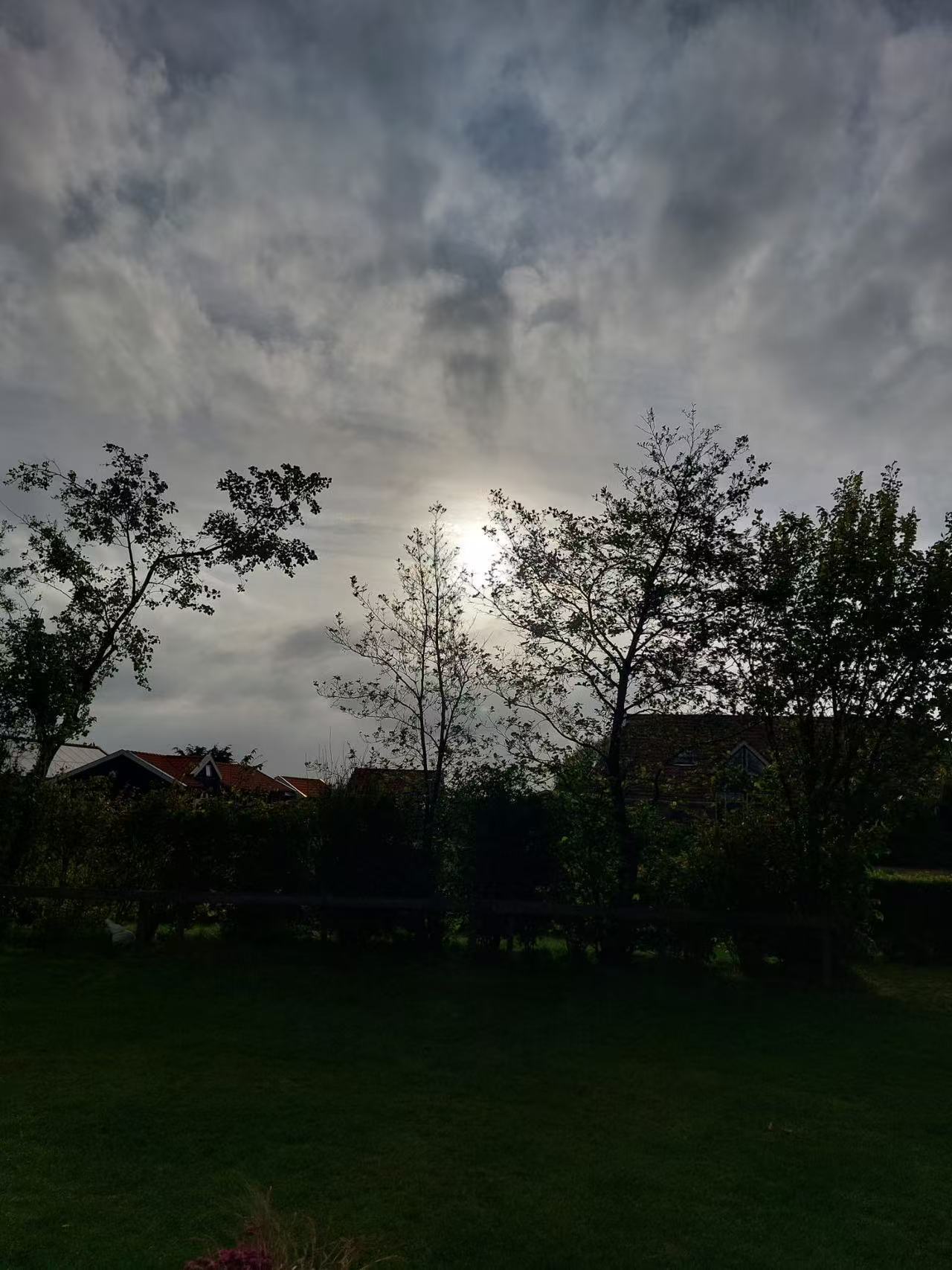 一条plog告别五月一颗小小的花种，落在了石板缝里。四周没有沃土，也少有阳光，它