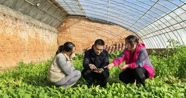 跟着代表委员去调研｜省政协委员胡栋：为盐碱地综合利用寻良策