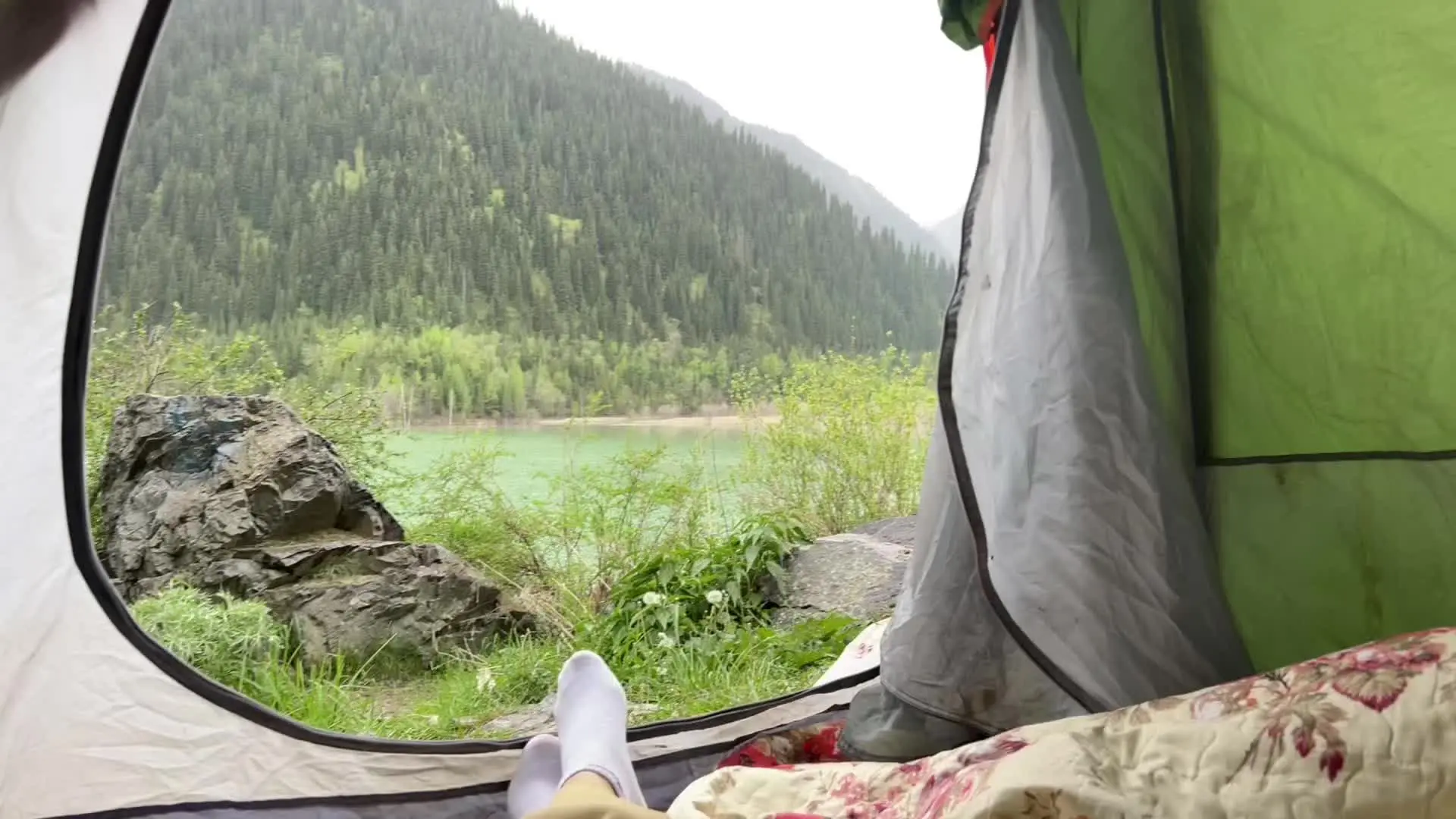 往后的日子还长，我想在灵魂的圈子里种上鲜花，以宽容为土，用善意作种，这...