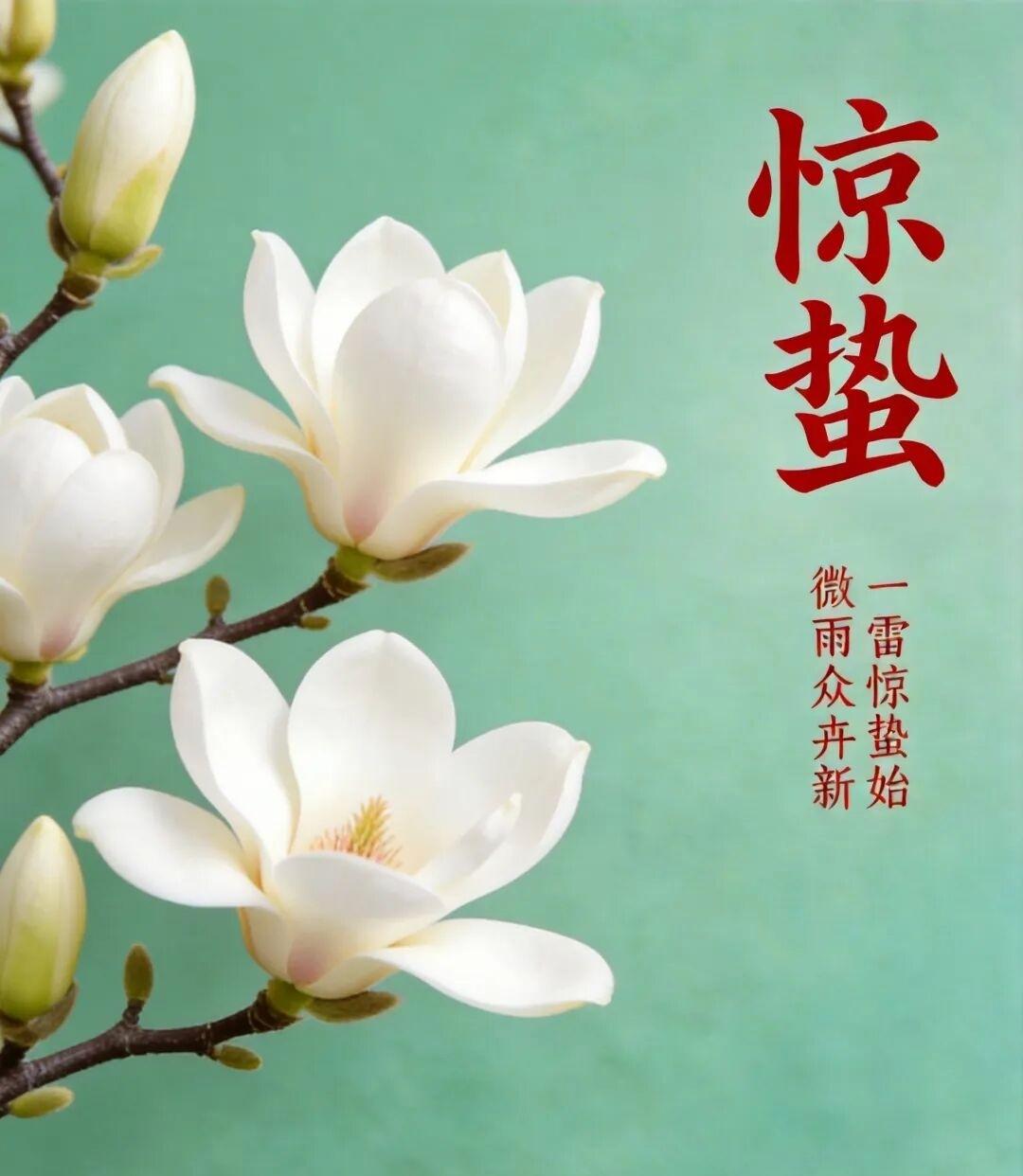 七律•惊蛰
一震春雷醒百虫，山光已透几分葱。雨滋南浦千重绿，霞染西天万朵红。溪水