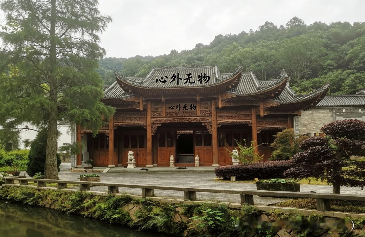 谷岭日记（2026年6月29日·晴）

清晨，我站在稻田边的老木头上。风从水塘那