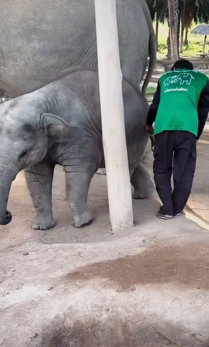 我爱被保护。