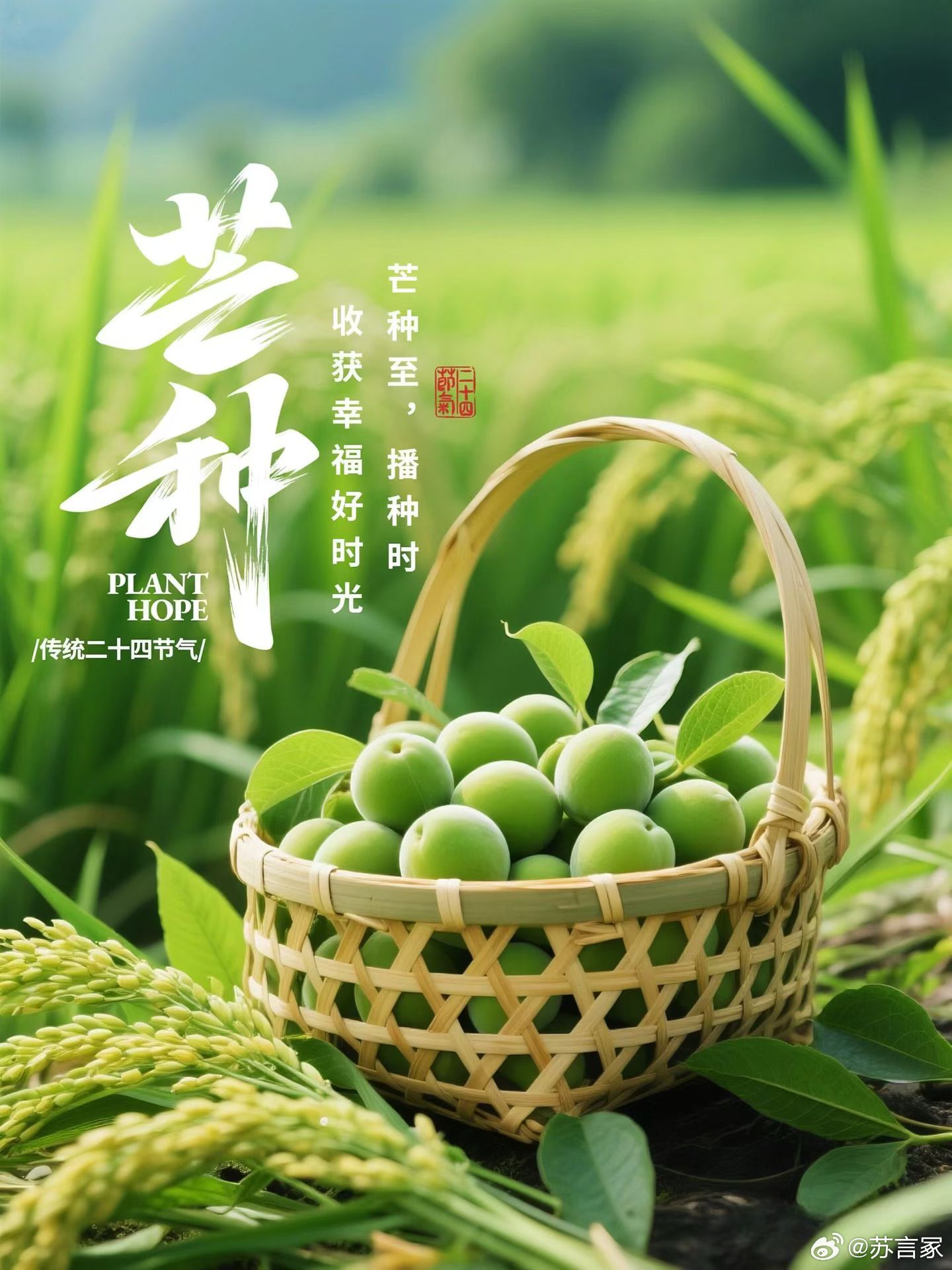 芒种养生芒种表示仲夏时节正式开始，即将进入炎夏高温模式。暑易入心，此时节一定要特