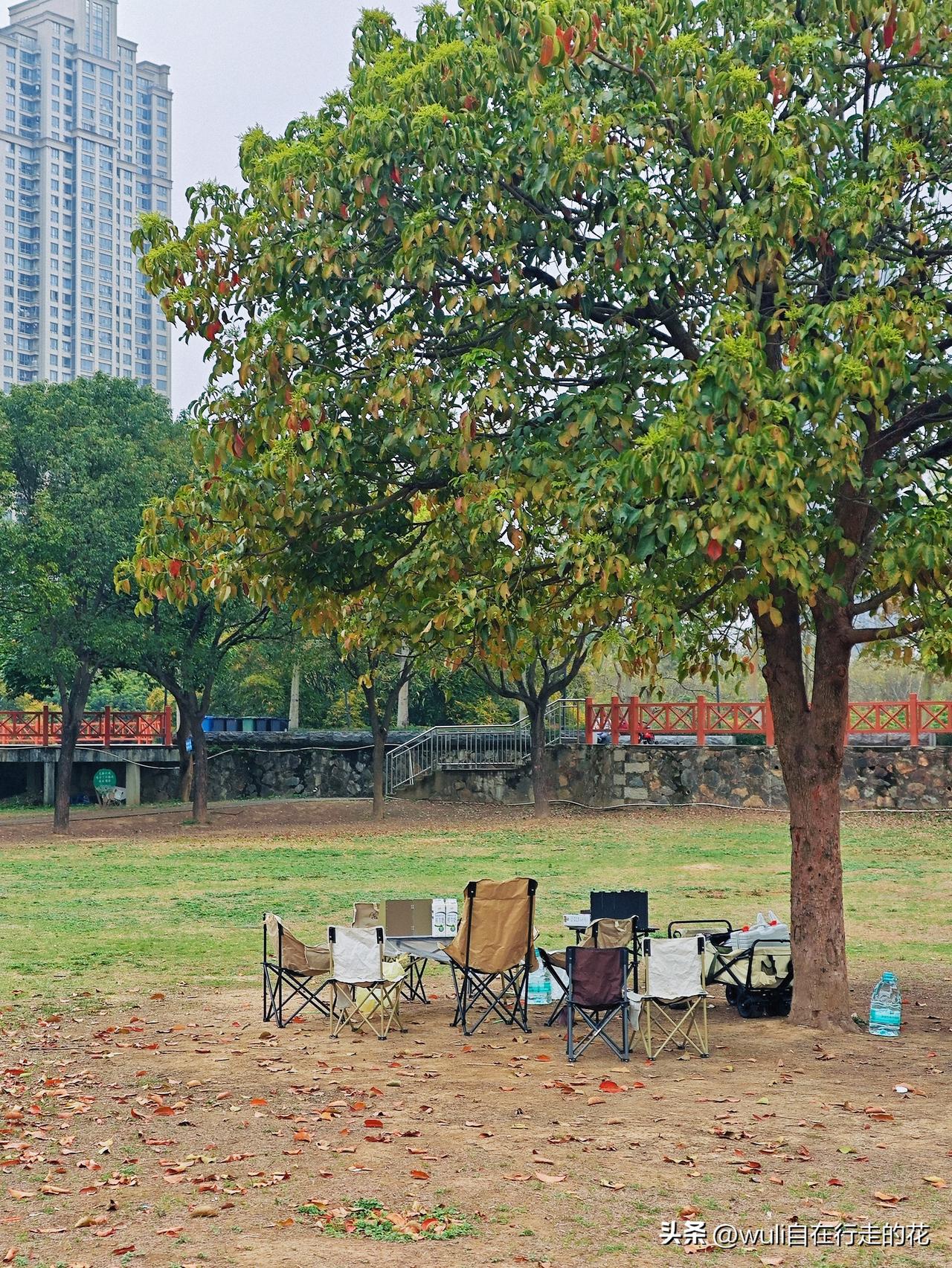 二刷啦！！闽侯江滨生态公园。。 虽然天气阴沉沉的，一大早就来，还是占了个超棒的位