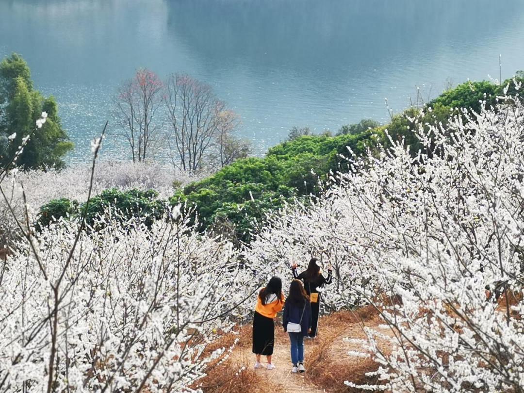 最低8℃！元旦假期，广州还有冷空气，最新天气预报