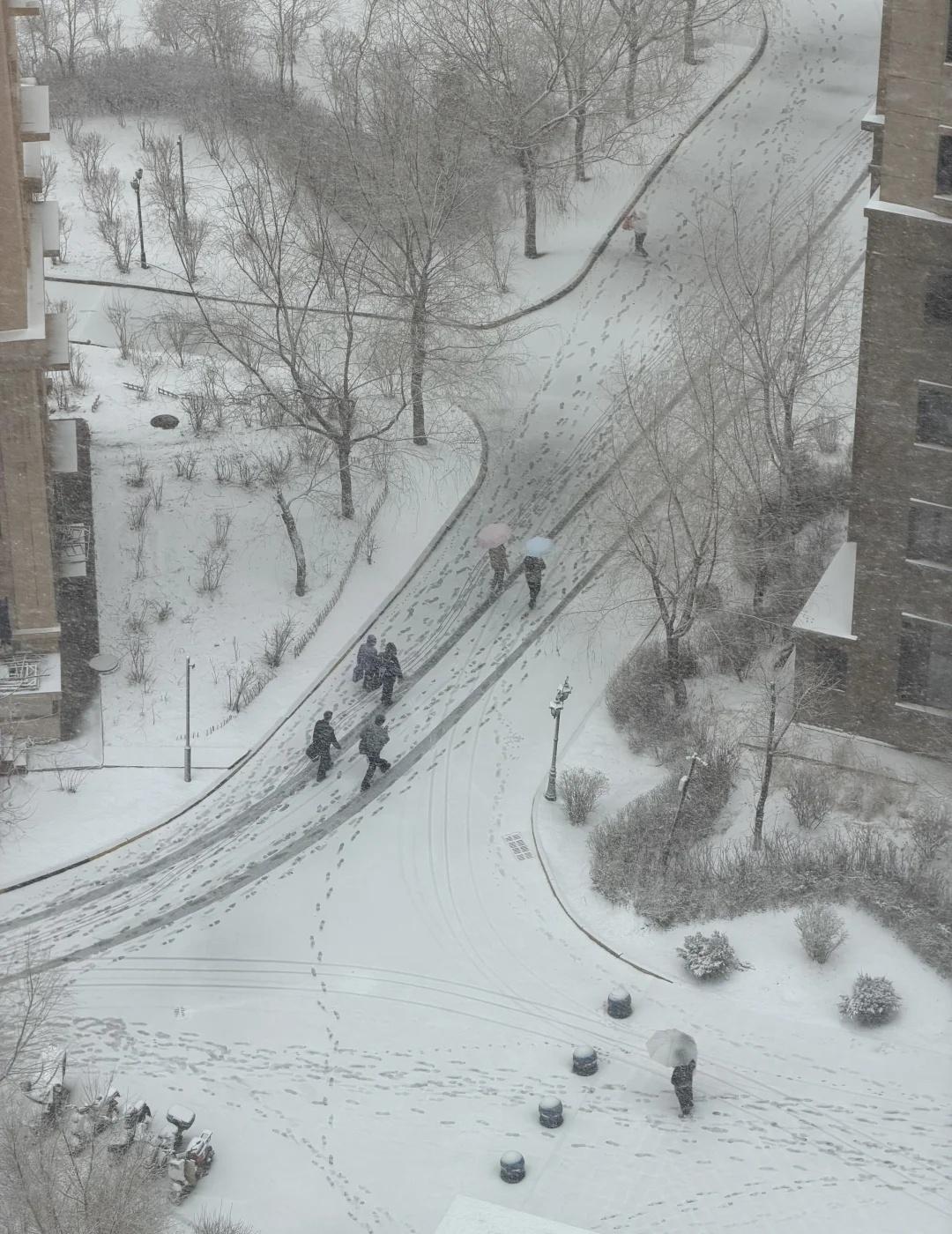 起猛了❄️睡个午觉把哈尔滨睡回冬天了
四月的雪 离谱