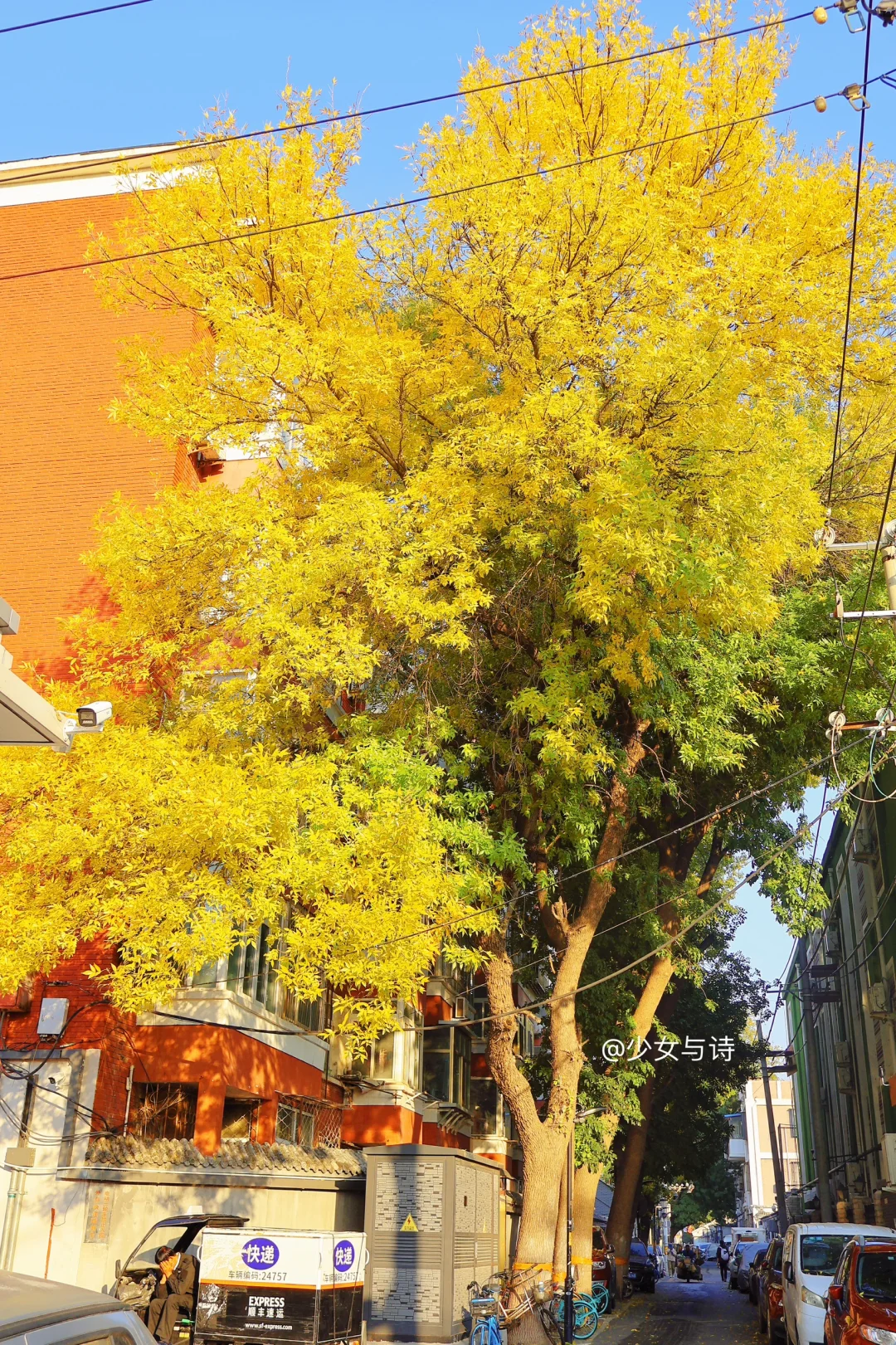 10.23实拍🍁北京赏秋citywalk精华线❗附路线