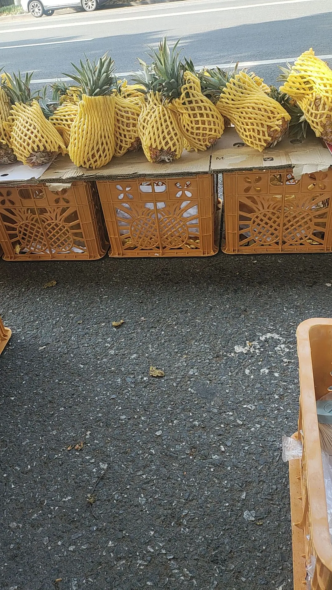 每日更新