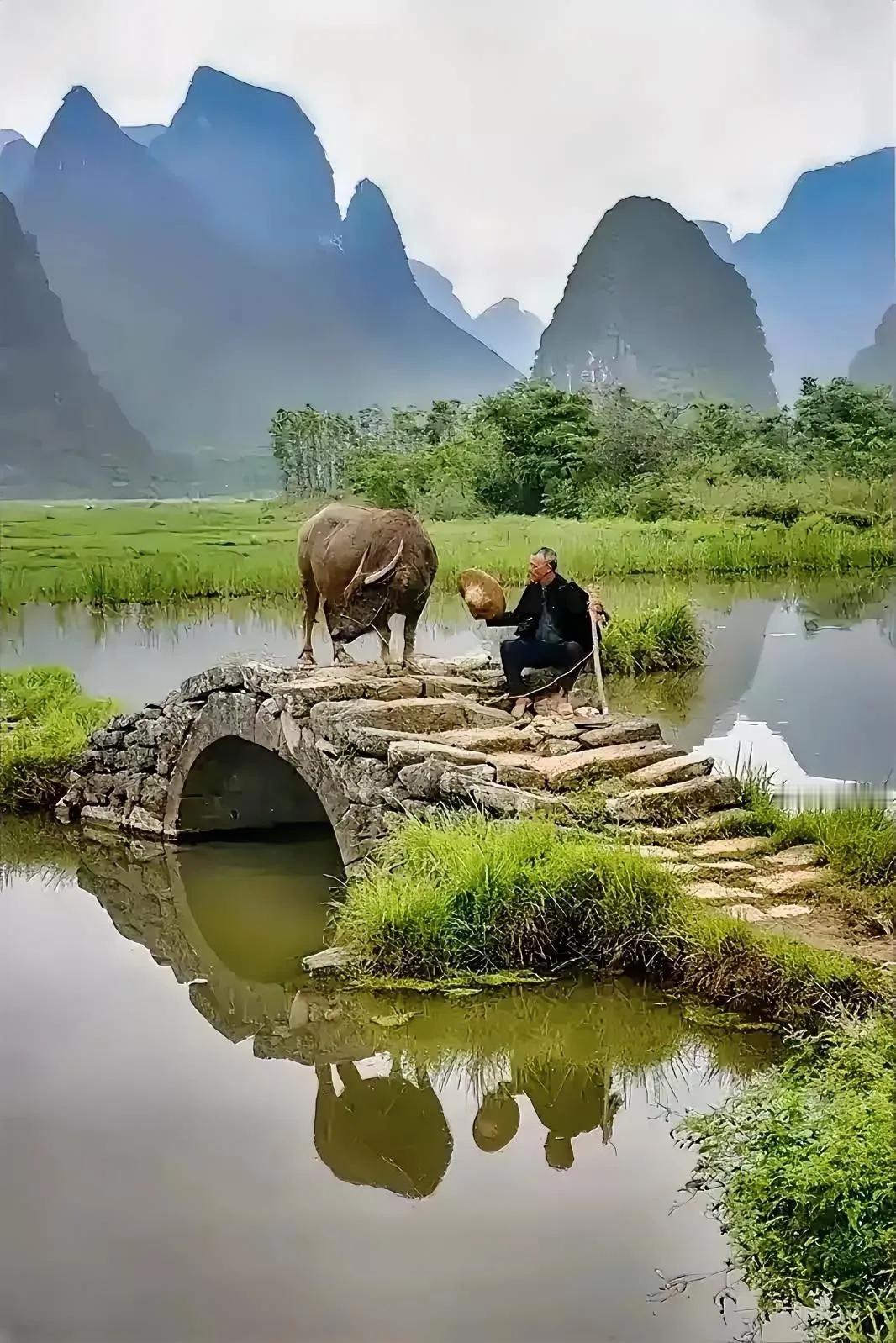 老人与水牛，古老而传统的农耕模式。天是蓝的草是青的水是绿的，人心是纯洁的，整个宇