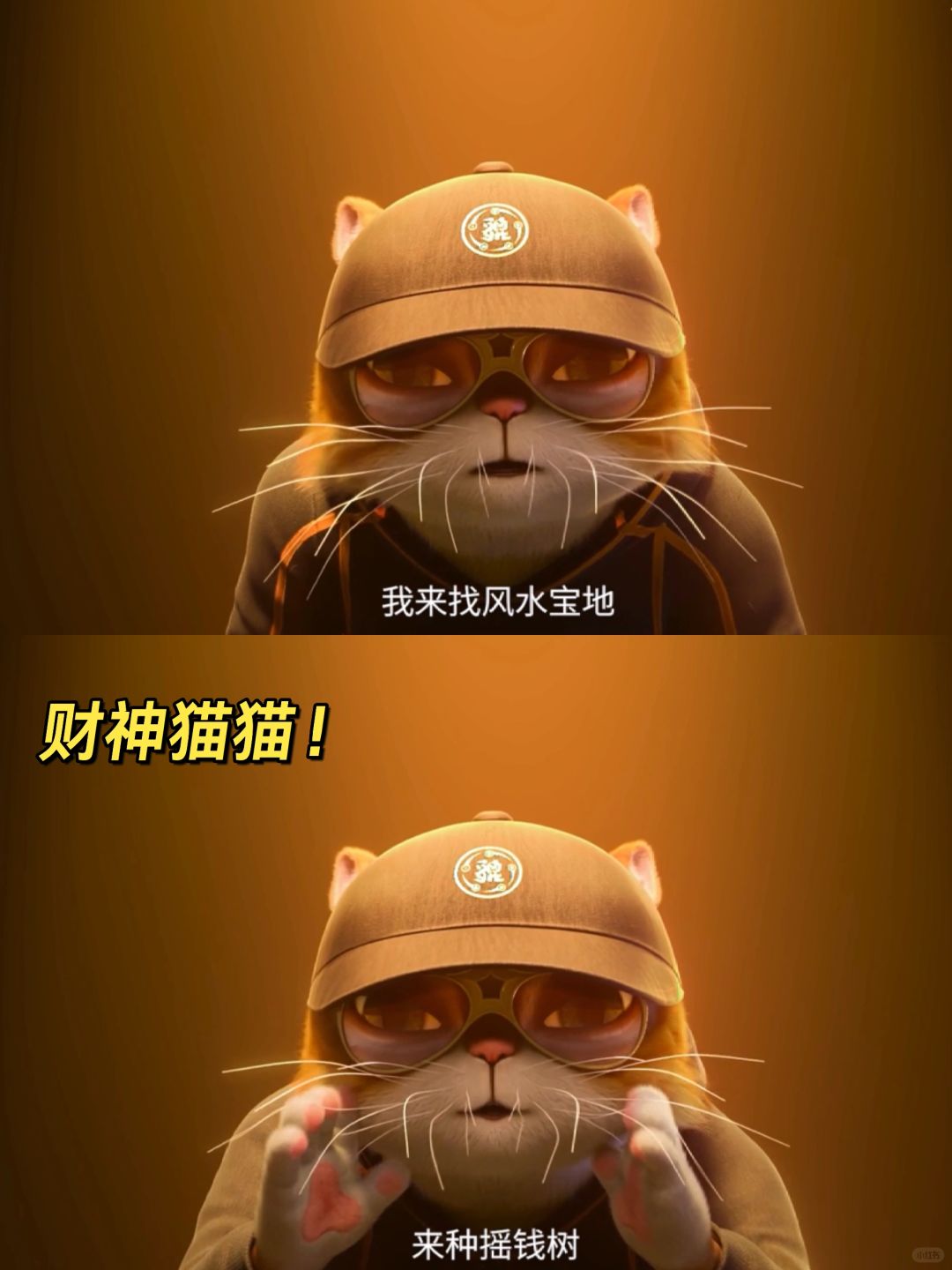 春节上映‼️喜欢猫和喜欢钱的小宝们有福啦😍