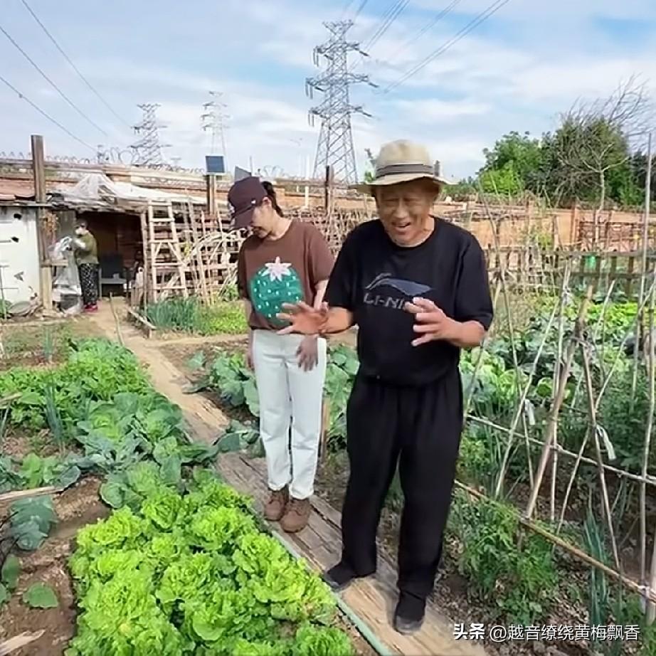 演员梅婷家有一个很大的菜园子，她家的菜园子都是公公一个人在务植菜园子，梅婷不忙的