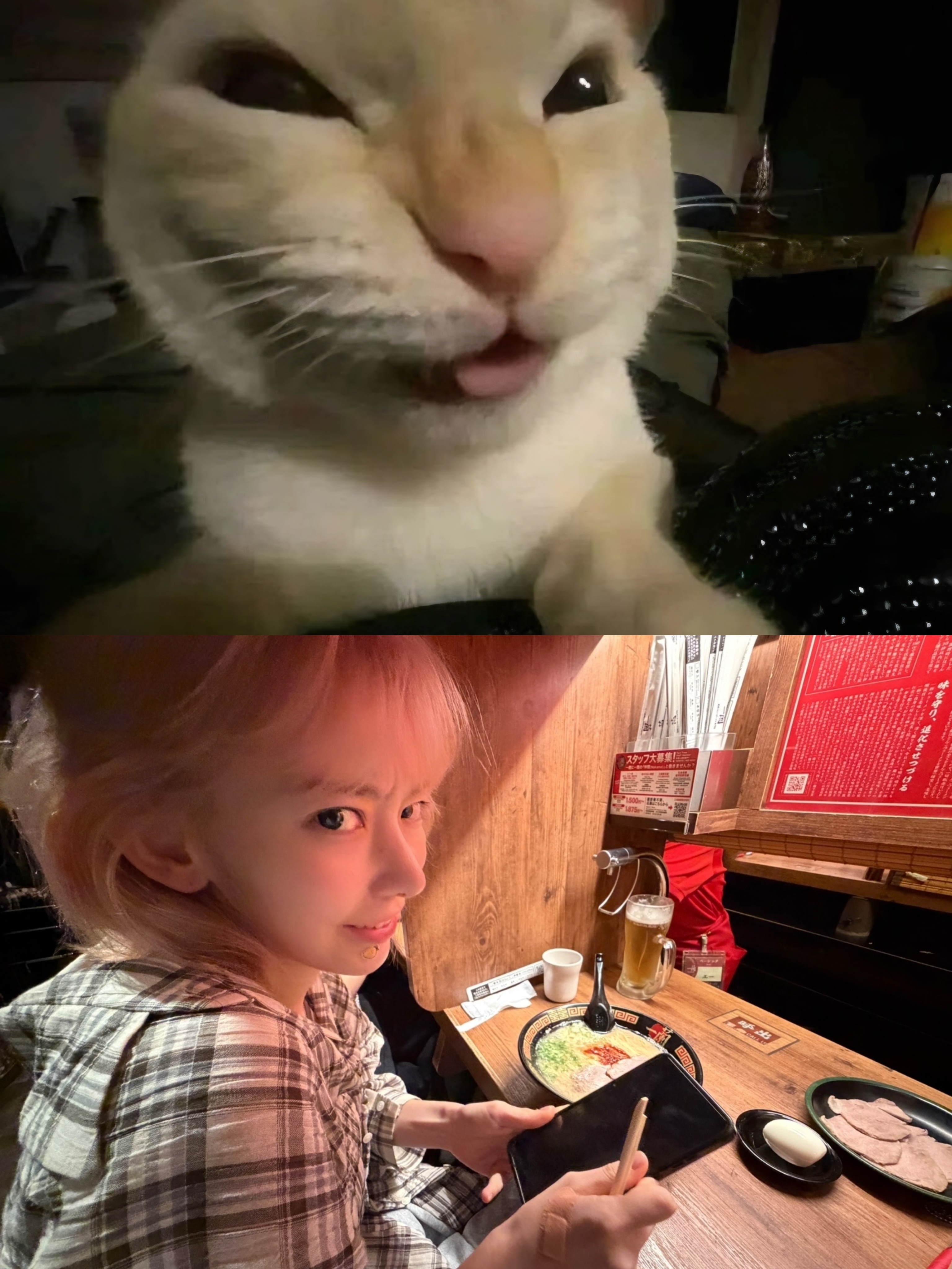 我家小猫🫳🏻 