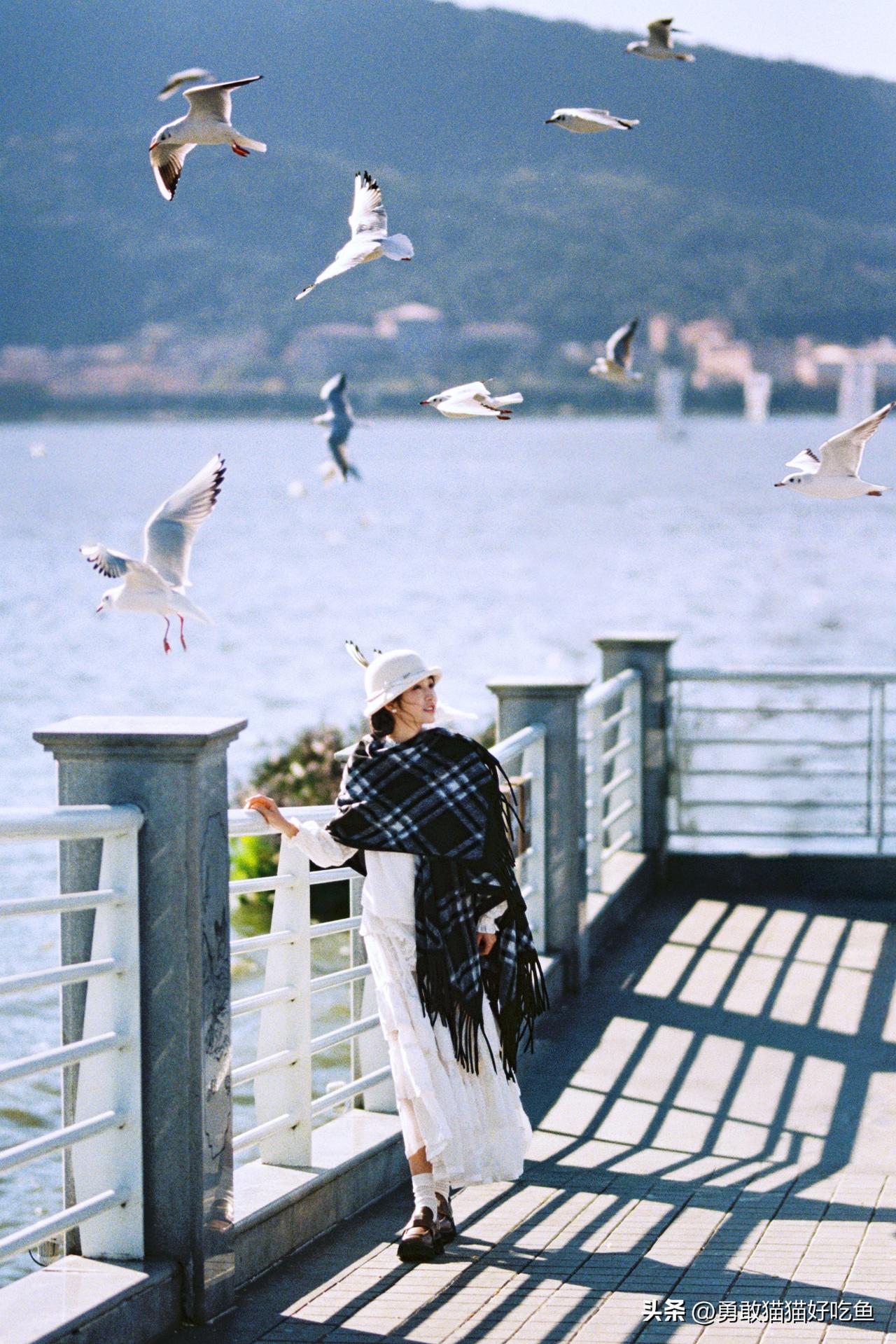 杨肸子分享图片