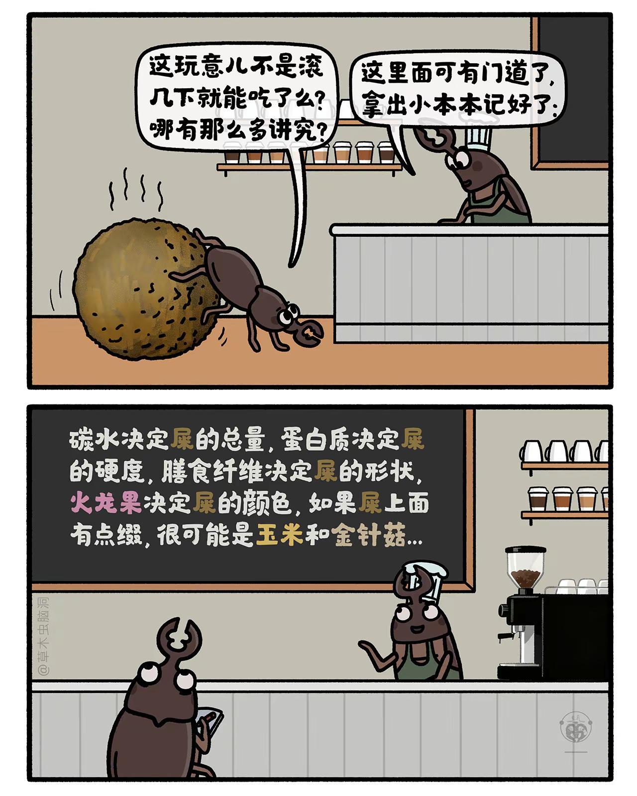 好学的屎壳郎。嫦娥打工兔 第八五四集 一日一画 看这个的时候，你有没有口水咽了一