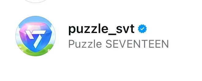 Puzzle_SVT 更新后玩不了咋办？
使用 out play 加速器，结果更