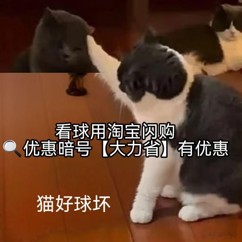看球上淘宝闪购点外卖更优惠淘宝闪购夏日拼团季 清晨观赛时刻，各类好吃外卖随便选！