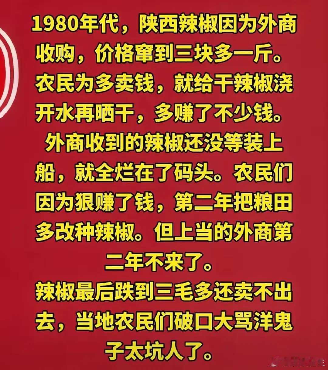 辣椒的故事…… ​​​