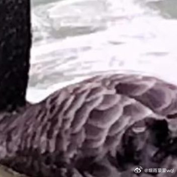 春天有一种魔力，一种想让人成为更好的自己的魔力💚 