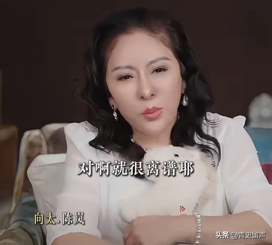 向太，引发热议！
7月9日深夜，向太连夜冲上热搜，原因是她称LV起诉太离谱，甚至