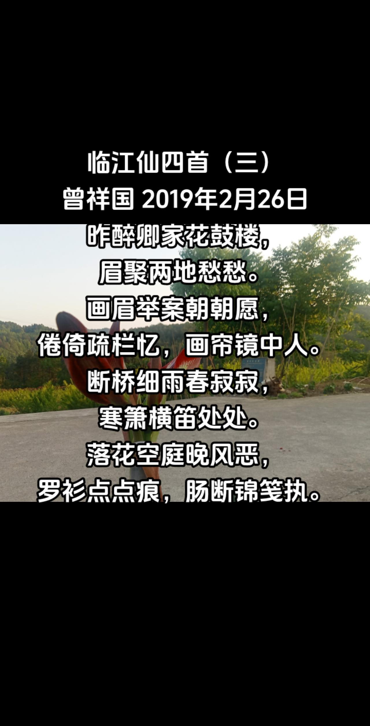 临江仙四首（三）#一花一草一世界 #农村生活 #美丽乡村任我行 #我的家在农村 