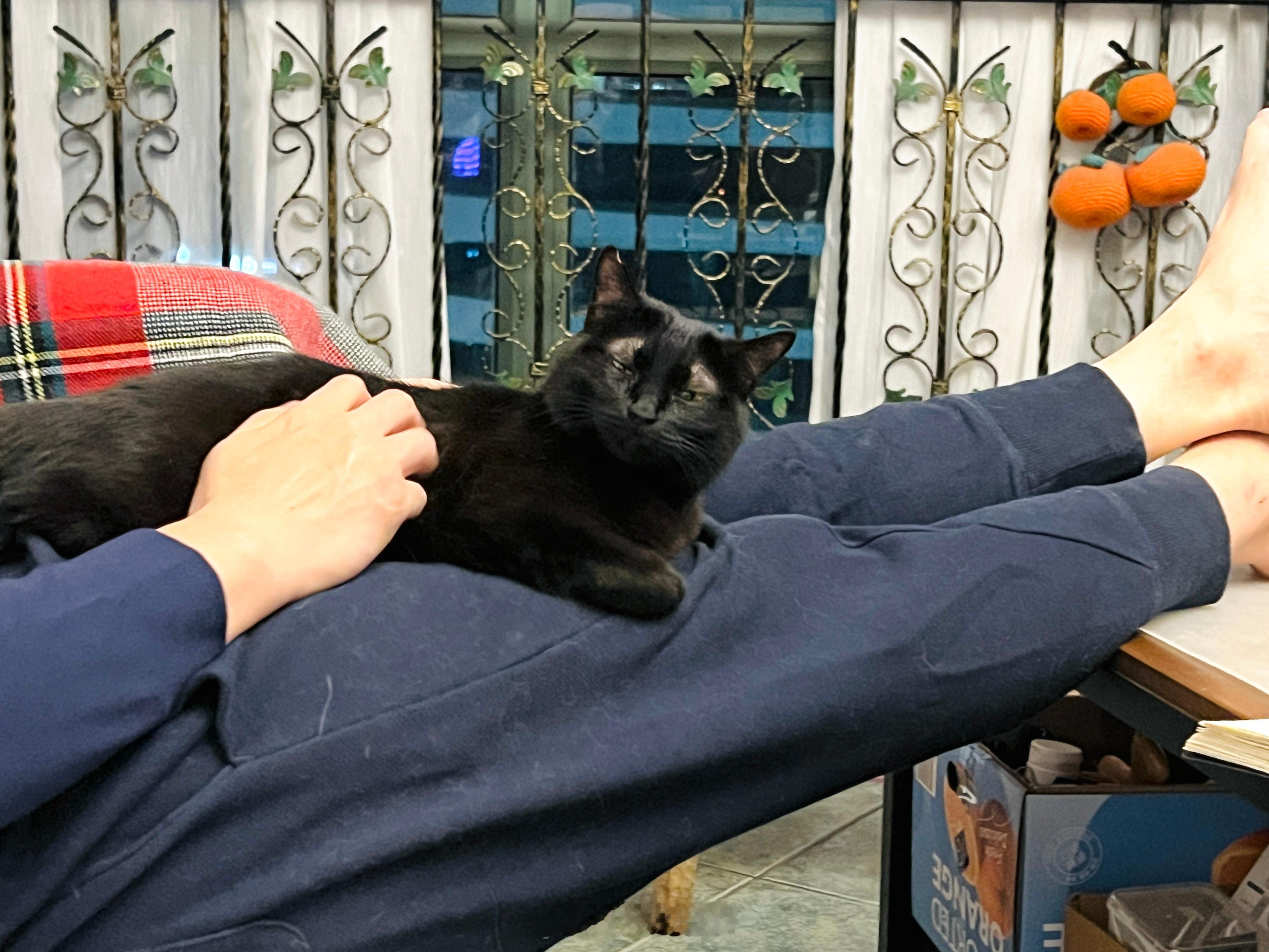 眼 神 渙 散#蝦蝦不可以太可愛# ​​​