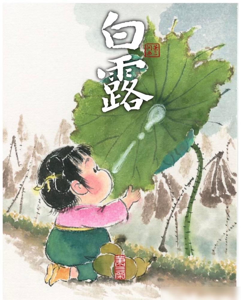 白露一过，菜市场的味道都变了。

以前一到换季，我总爱买些所谓的滋补品，花钱不少