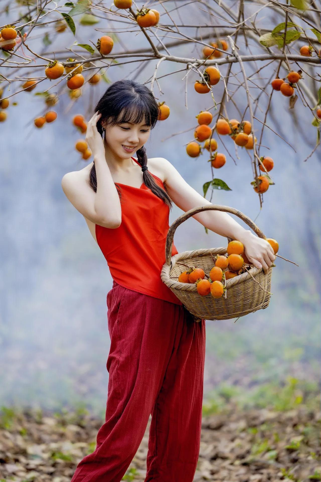 柿子熟了……
#用一张图来晒晒你的水果#