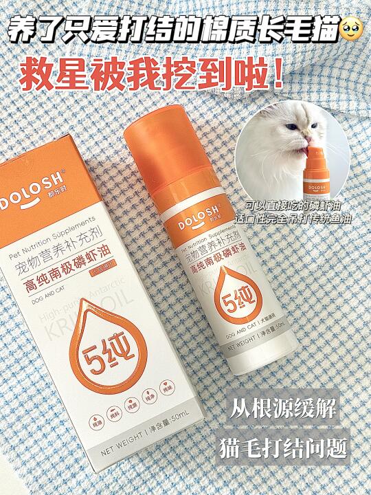 棉质长毛猫｜一瓶磷虾油解决猫毛打结问题！