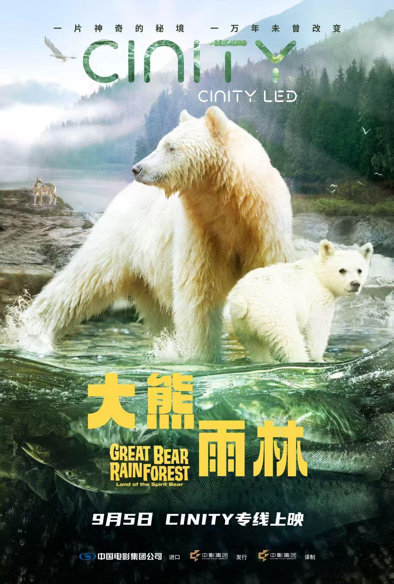 科普纪录电影大熊雨林 🎬定档0905    原始温带雨林 🌍 万年未曾改变 