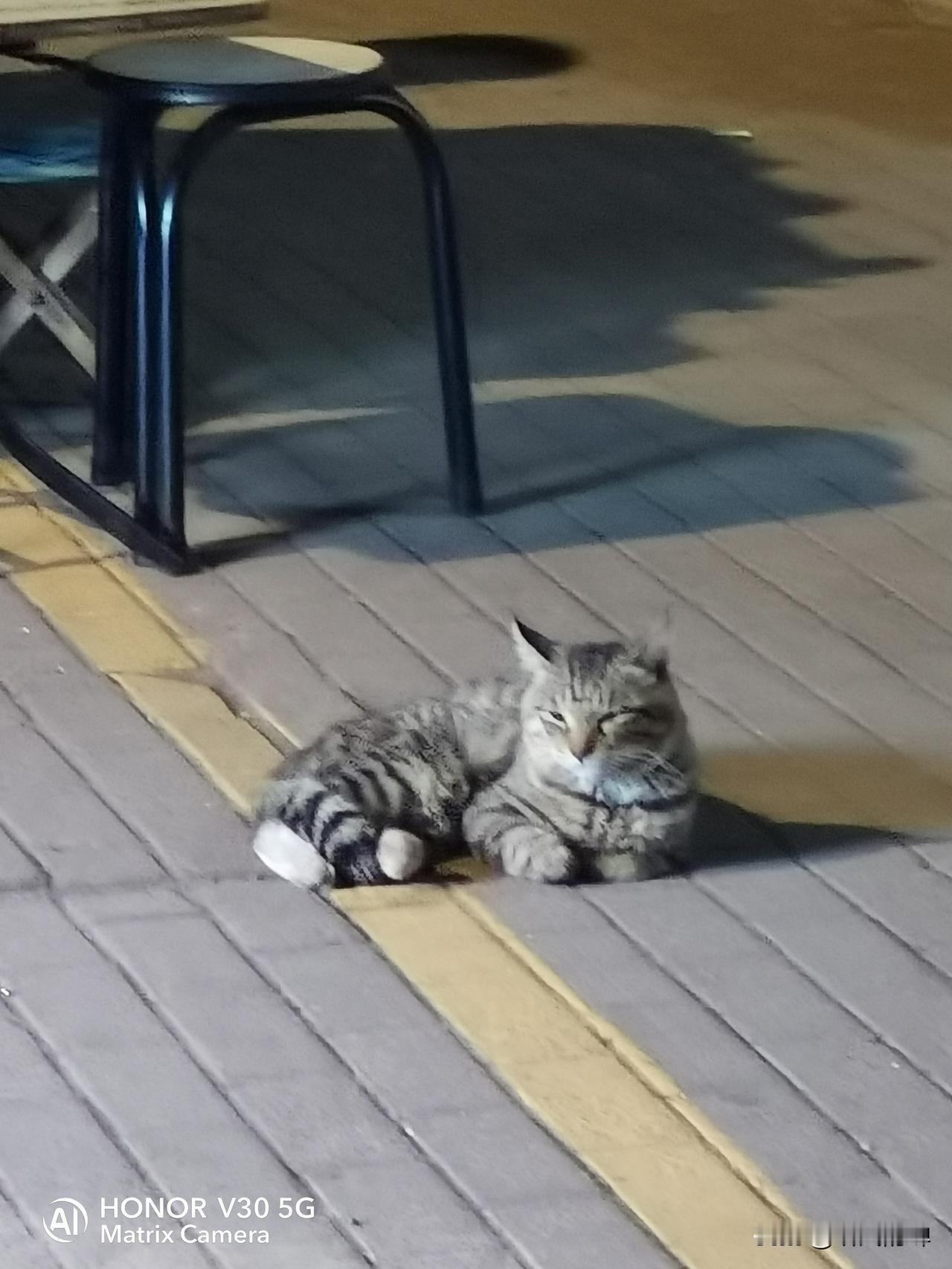 世界有这几个“搅屎棍”，老百姓就别想过安稳日子。

小本子是东亚的搅屎棍，他们唯