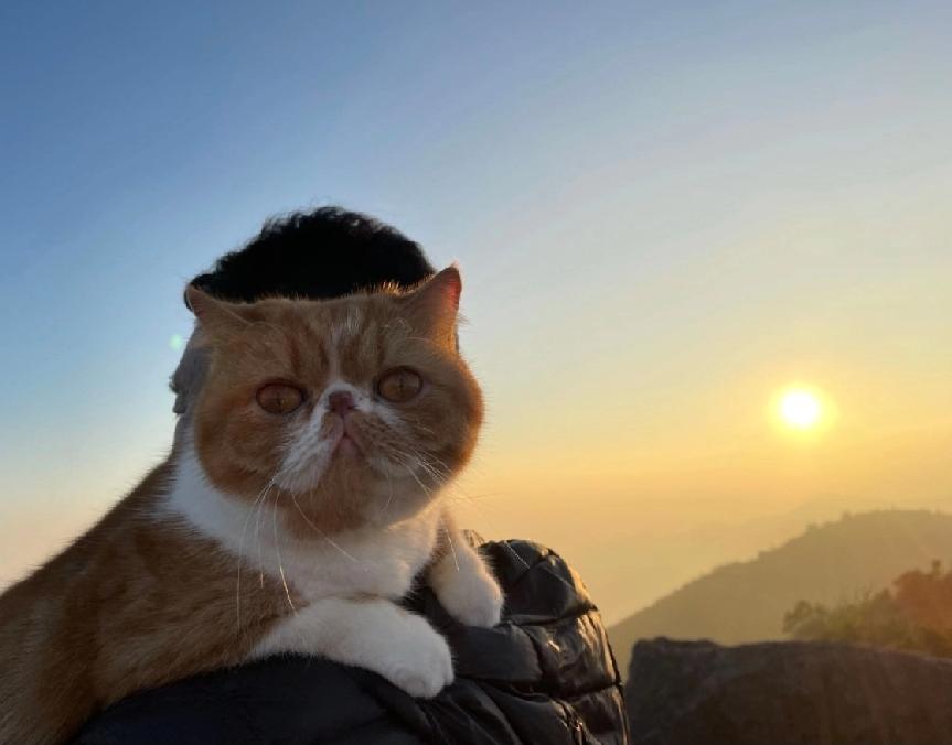 手机随手拍原创图片