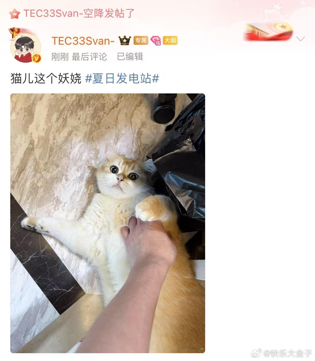 33号小猫技师为您服务 33给小猫撸爽了啊[允悲]33Svan[超话] ​​​